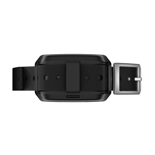 Garmin Delta SE Collar Black 2