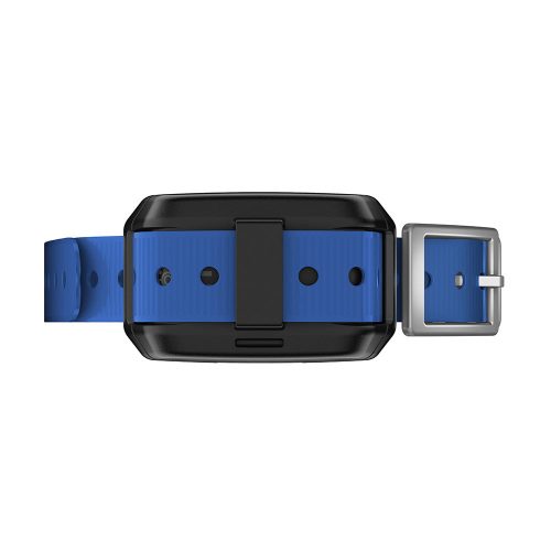 Garmin Delta SE Collar Blue 2