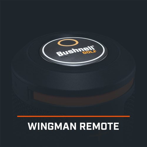 Wingman Speaker Replacement Remote 3